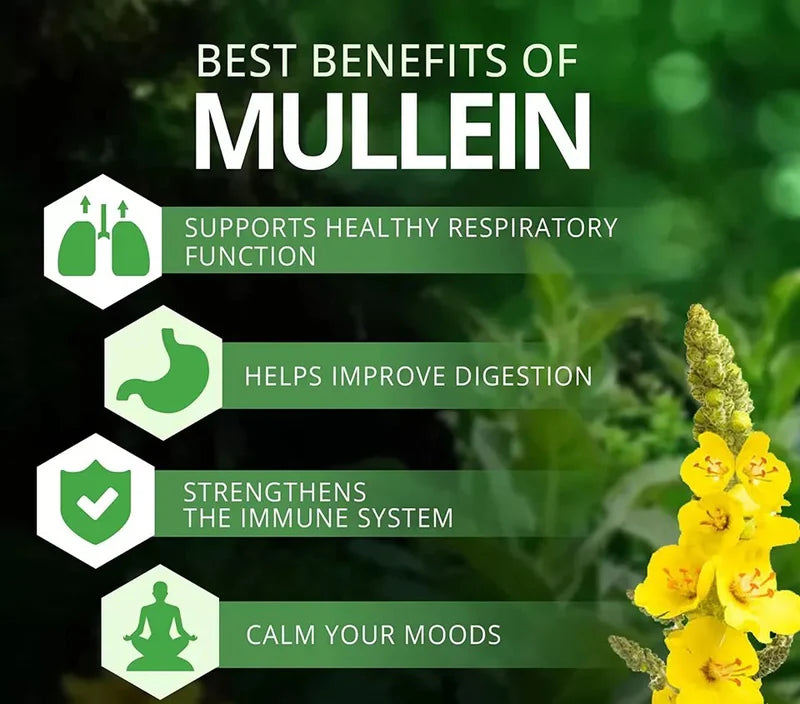 MulleinBerry Drops: Respiratory Care & Immunity Support